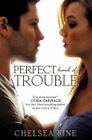 Perfect Kind of Trouble by Chelsea Fine: New