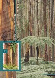 Australia - 1996 $5 Mt Ash & Soft Tree Fern Maxi Card as shown - Picture 1 of 1