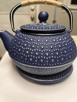 Tetera de hierro fundido estilo japonés tetubina tetera con acero inoxidable extraíble Foto 1 de 4