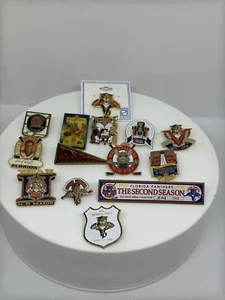 14 Vintage Florida Pin Lot NHL Florida Panthers Excellent Condition - Picture 1 of 15