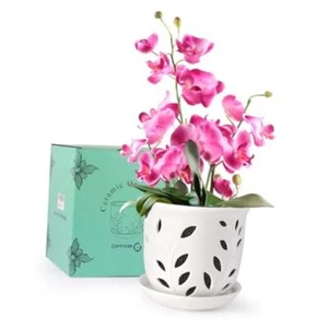 Orchid Pot with Holes & Saucers, 6.1 inch Ceramic Large Orchid Planter White - Picture 1 of 7