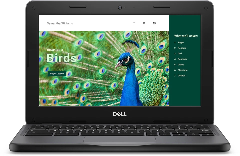 Dell Chromebook 11” 3000 3120 or 2-in-1 Scratch Intel N100 8GB 64GB HD 60hz 2-in - Image 1 of 1