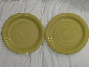 Stonewear Speiseteller 2 Stück Citrus Grove Green Swirl Set groß grün - Bild 1 von 6