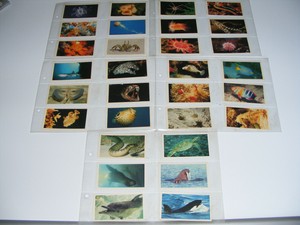 John  Player  1985  Grandee  Cigars  The   Living  Ocean   Complete  Set  Of  30