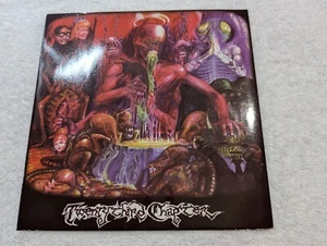 TWENTY THIRD CHAPTER Astringent Mask 7" clear metallic hardcore punk Rune Pawn - Picture 1 of 3