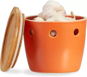 Large Garlic Keeper with Lid, Ceramic Garlic Saver 5 Inch, Garlic Keeper for Cou - Picture 1 of 9