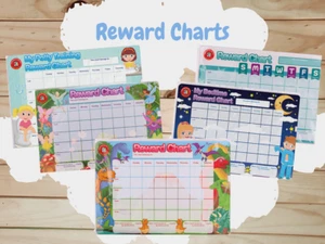 Magnetic Reward Charts - Picture 1 of 11