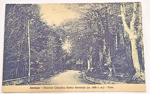 1932 Abetone Stazione Climatica Estiva Invernale -VIALE - cartolina spedita - Imagen 1 de 2