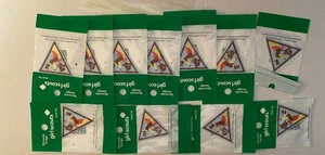 Menge 11 NEU im Paket Pfadfinder Brownies Freunde finden Bügelbild Patch - Bild 1 von 3