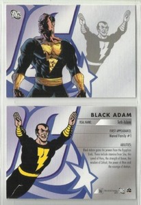 2007 DC Legacy (Rittenhouse) BLACK ADAM "Base Trading Card" #36