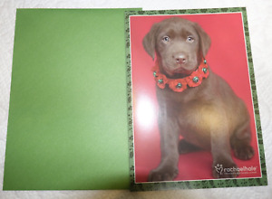Chocolate Lab Puppy in Christmas Collar 15 Classic Holiday Cards