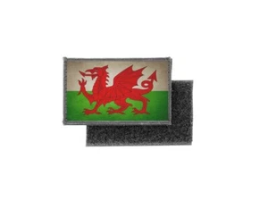 Flag patch printed badge country vintage wales welsh - Picture 1 of 1
