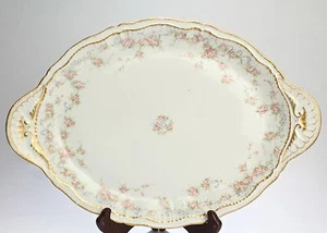 Piatto da portata 16" - Theodore Havilland Limoges doppio oro Schleiger 340 - PC - Foto 1 di 6