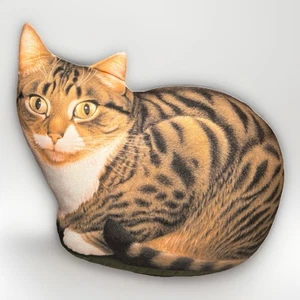 Lesley Anne Ivory Cat Pillow 1999 Tabby Cat Decor Vintage Feline Art Cushion - Picture 1 of 5