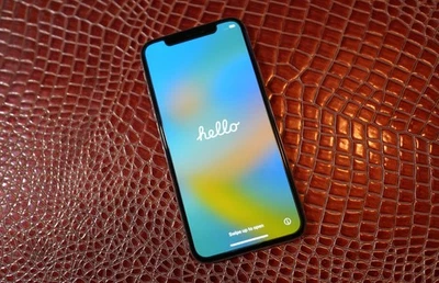 Apple iPhone X A1865 (Totalmente Desbloqueado) 256 GB Plateado, Envío Gratis Foto 1 de 3