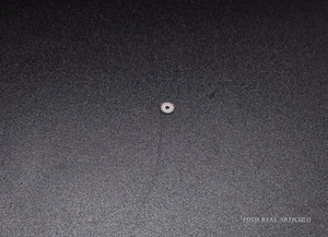 REPLACEMENT PART ORGINAL VENUS CALIBER 175. PART. 453. - Picture 1 of 3