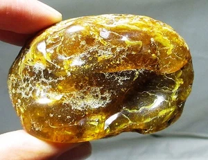 Großes 61 Gramm Stück Ostseebernstein - teilpoliertes Fossil - Bild 1 von 6