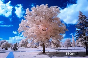 580nm Infrared Filter 52mm *** See Video *** for Full Spectrum Converted Camera - Picture 1 of 16