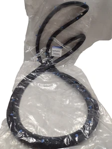 Genuine OEM Mopar Front Door Weatherstrip Right Side Passenger 4717720AA - Bild 1 von 5