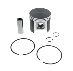 2006 - 2009 Ski-Doo MXZ X 550 Piston Kit Teflon Coated by Race-Driven - Imagen 1 de 3