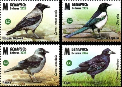 2024 Bielorrusia Aves de Bielorrusia - Córvidos MNH Foto 1 de 4