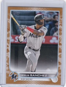 JESUS SANCHEZ 2022 TOPPS UPDATE CAMO PARALLEL #14/25 #US197 MIAMI MARLINS - Imagen 1 de 1