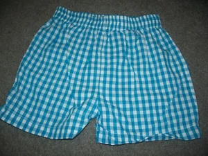 Boys Girls Size 5 Funtasia Too Aqua Blue White Plaid Check Elastic Waist Shorts - Picture 1 of 1