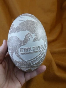 w2-10 Rhea bird Egg etched "Irian Saya" Australian kangaroo Tiki flowers ornate - Picture 1 of 6