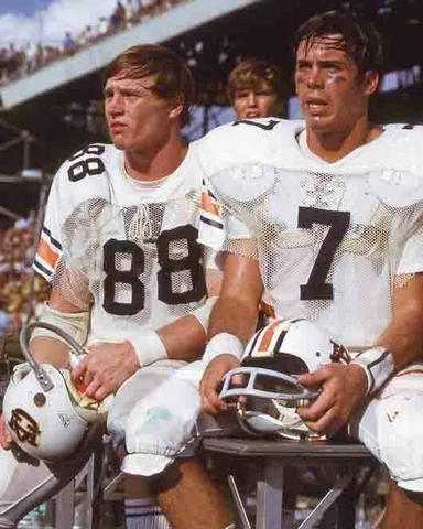 1971 Auburn Tigers PAT SULLIVAN and TERRY BEASLEY Glossy 8x10 Photo Print Poster Cover