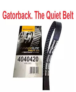 NEW Serpentine Poly-V Belt The Quiet Belt Gatorback CONTINENTAL ELITE 4040420 - Foto 1 di 5