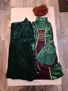 Women's Disney Hocus Pocus Winifred Sanderson Costume LARGE Complete Robe Wig - Picture 1 of 15