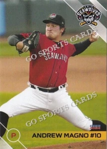 2024 Erie SeaWolves Andrew Magno RC Rookie Tigers Minor Card - Picture 1 of 1