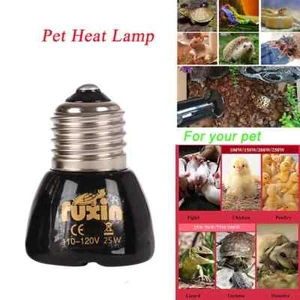 100W E27 Ceramic Infrared Pet Heating Lamp Light Heater Reptiles Turtle Bird - Picture 1 of 6