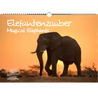 Elefantenzauber Immerwährender Kalender DIN A3 Elefanten - Seelenzauber