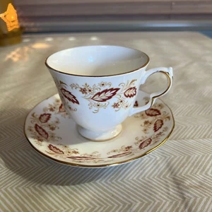 Queen Anne Teetasse und Untertasse Autumn Leaves Tannenzapfen vergoldet Bone China England - Bild 1 von 3