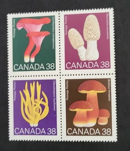 CANADÁ 1989 38c HONGOS SC. 1248a (1245-1248) - BLOQUE DE 4 - MNH - Imagen 1 de 2