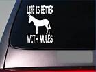 Life is better with mules *F389* 6" sticker decal trailor burrow draft miniature