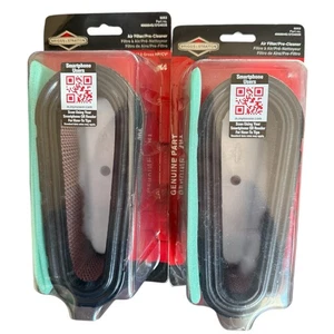Nuovo lotto di 2 confezioni originali OEM Briggs & Stratton Arnold 493909 filtro aria 496894 - Foto 1 di 1