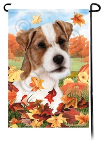 Falling Leaves Garden Flag - Broken Coat Tan and White Jack Russell Terrier - Picture 1 of 1