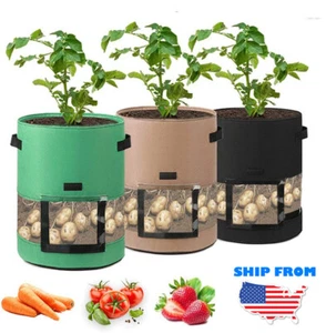 Kartoffelpflanzsack 7/10 Liter mit transparentem Fenster und Griff Stoffpflanze - Bild 1 von 6