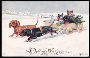 Christmas Dogs And Cats Cart Feiertag C.W. Faulkner Postcard - Picture 1 of 2