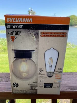 Lámpara globo Bedford vintage SYLVANIA, montaje semi empotrado, bombilla ST19 @74 Foto 1 de 4