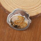 Natural Ammonite Fossil Gemstone Jewelry 925 Sterling Silver Pendant For Girls