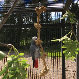 Sisal Tarzan Rope Parrot African Grey Cockatoo Conure Macaw Toy Medium