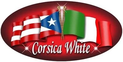 Italian Puerto Rican Unity Flags Decal Bumper Sticker Personalize 2 Sizes Oval - Image 1 of 4