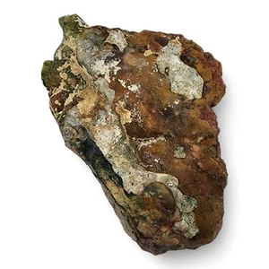 Morrisonite Jasper Rough 262.1 grams. - Picture 1 of 3