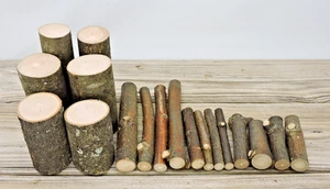 Rama de palo de madera de fresno mini trozo de tronco artesanías borde vivo centro hueco médula suave - Imagen 1 de 26