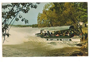 Duck Entering Lake Delton Wisconsin Dells WI-Free Shipping - Picture 1 of 2