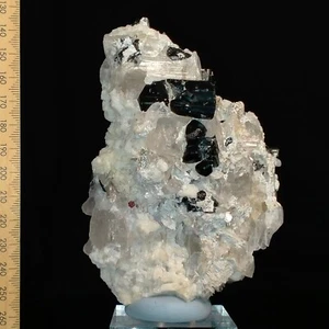 Black Tourmaline crystals in Quartz w/ Muscovite Mica and Garnet specimen 0.5kg - Picture 1 of 10