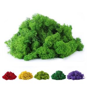Fake Moss Preserved Reindeer Moss 3.5 OZ for Potted Plants, Arts and Crafts, ...